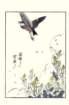 photo7_small.jpg