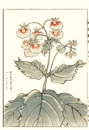 photo98.jpg