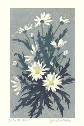 photo22.jpg