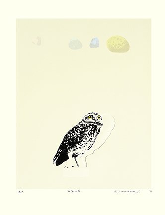 photo7.jpg