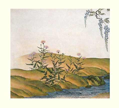 photo6.jpg