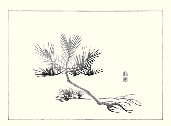 photo.jpg