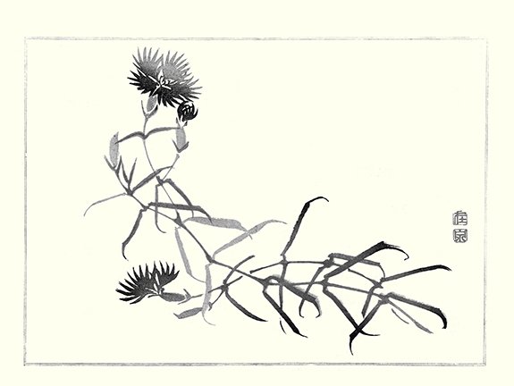 photo13.jpg