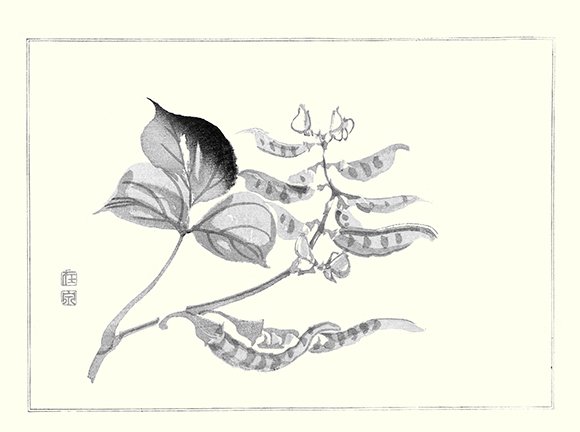 photo19.jpg