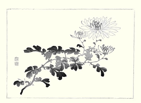 photo21.jpg