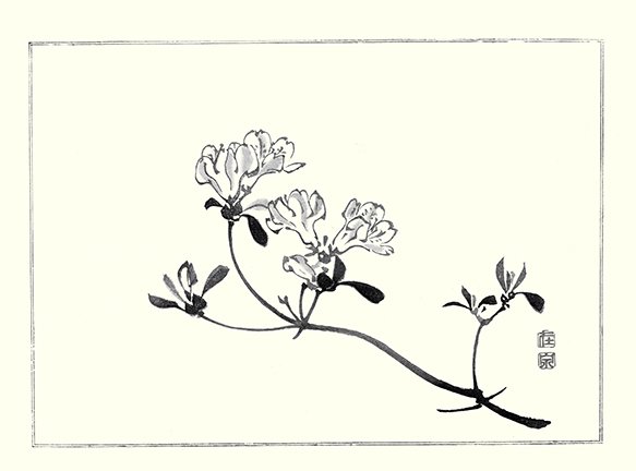 photo6.jpg