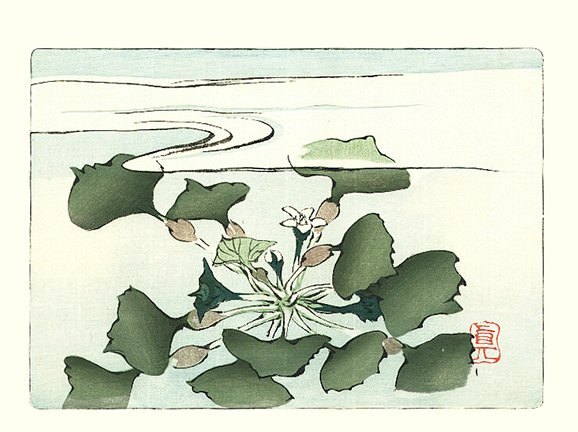 photo11.jpg