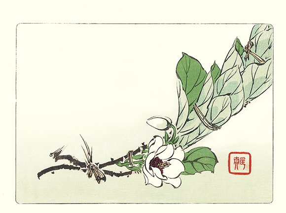 photo19.jpg