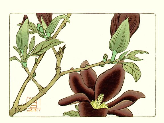 photo31.jpg