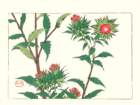 photo7_small.jpg