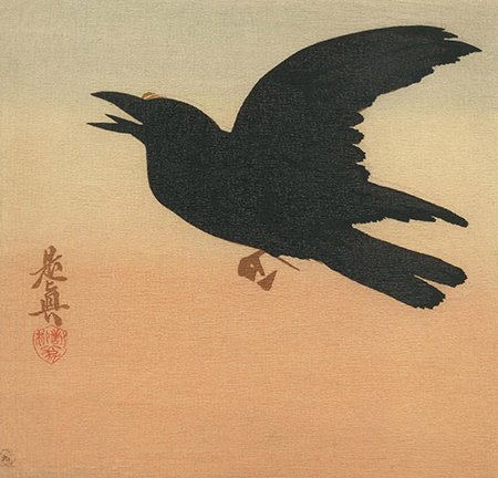 photo13.jpg
