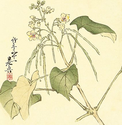 photo23.jpg