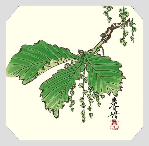 photo29.jpg