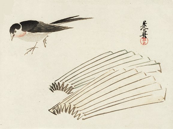 photo41.jpg