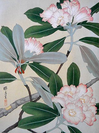 photo19.jpg