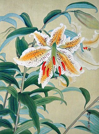 photo28.jpg