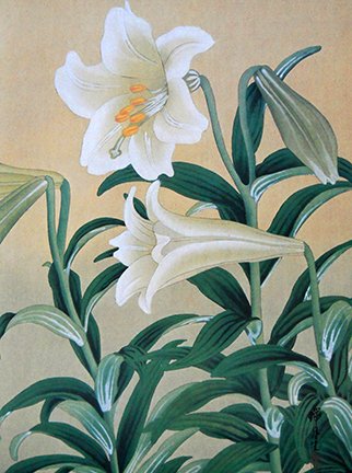 photo29.jpg