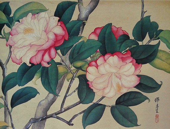 photo6.jpg