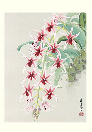 photo10.jpg