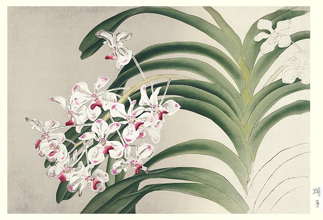 photo12.jpg