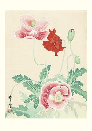 photo8.jpg