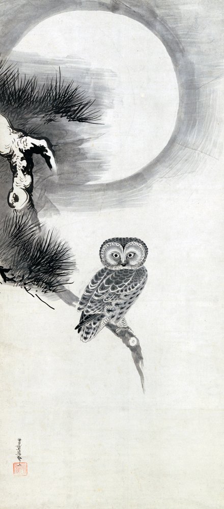 photo17.jpg