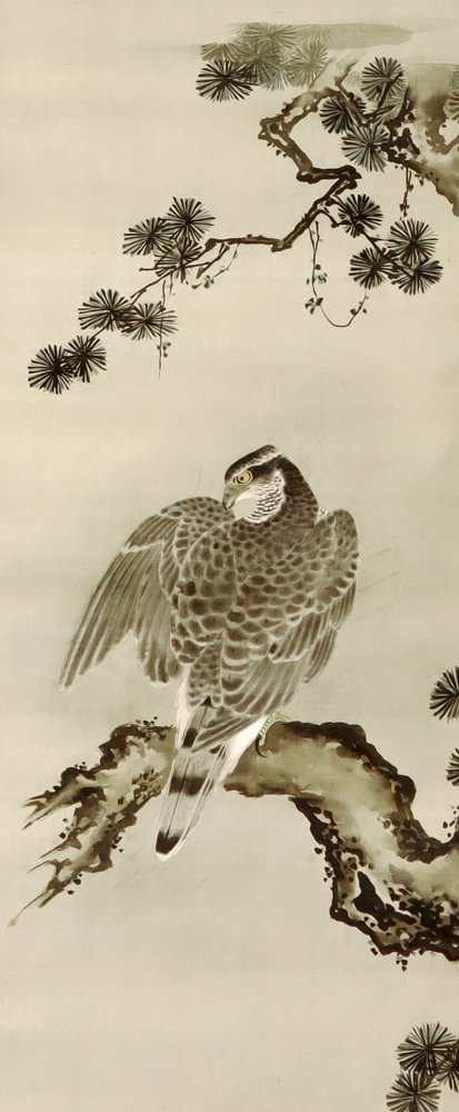 photo5.jpg