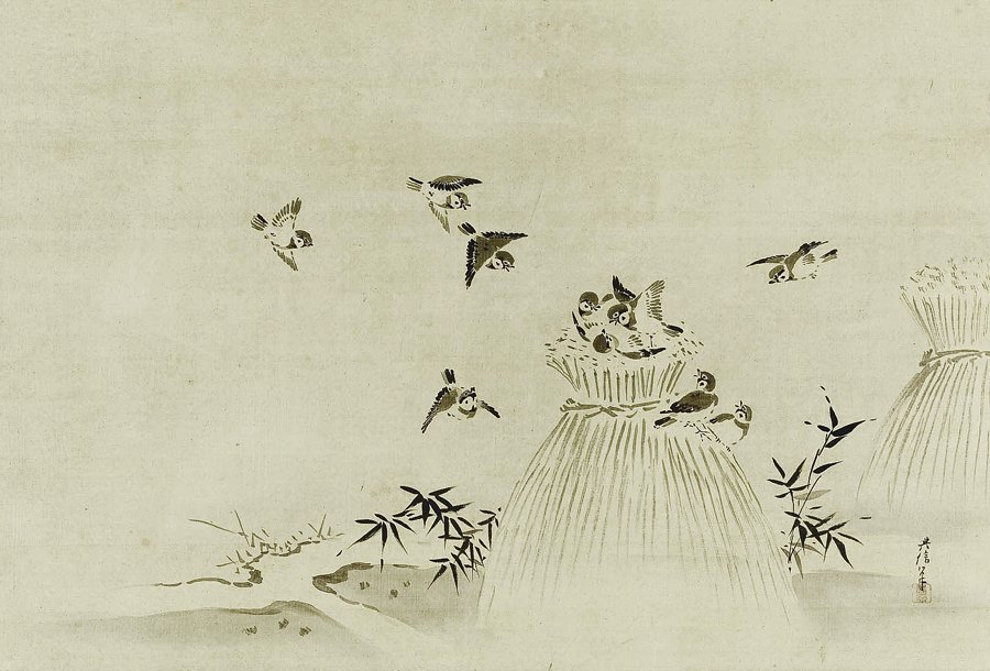 photo9.jpg