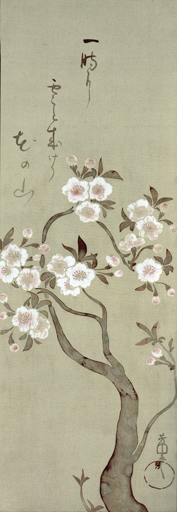 photo3.jpg