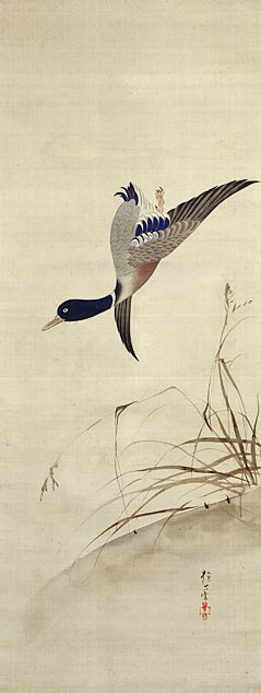 photo27.jpg