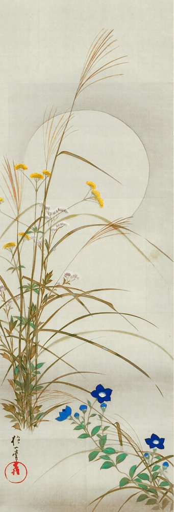 photo30.jpg