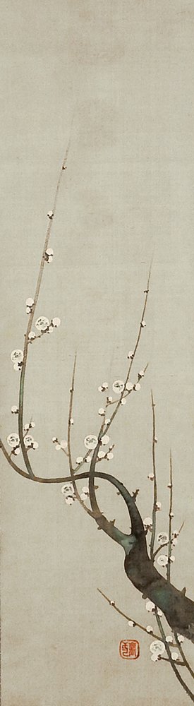 photo54.jpg