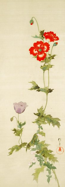 photo59.jpg