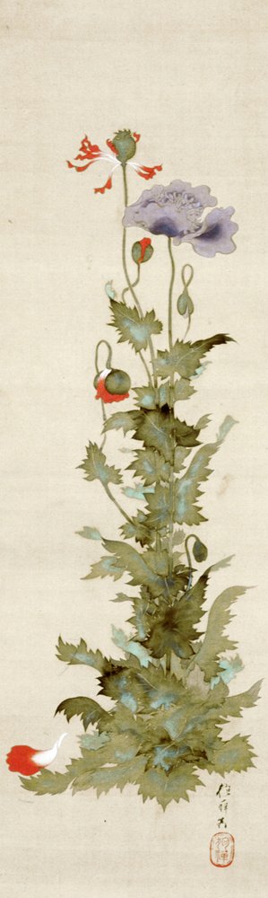 photo65.jpg
