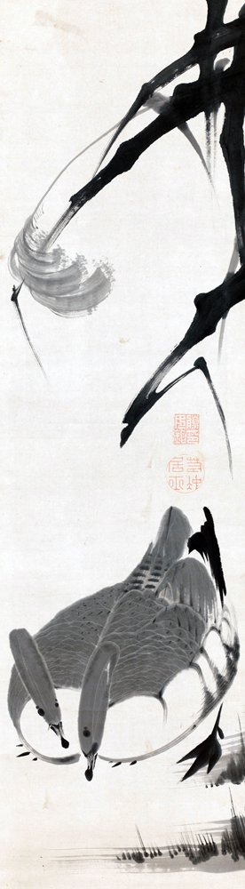 photo40.jpg