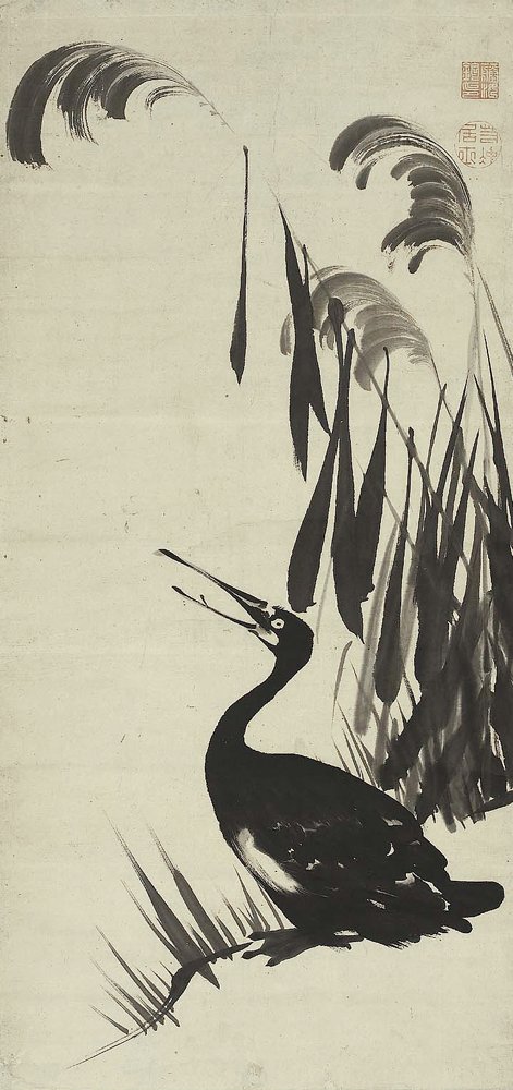 photo46.jpg