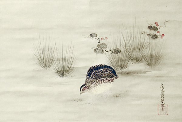 photo15.jpg