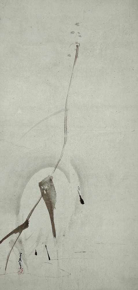 photo11.jpg