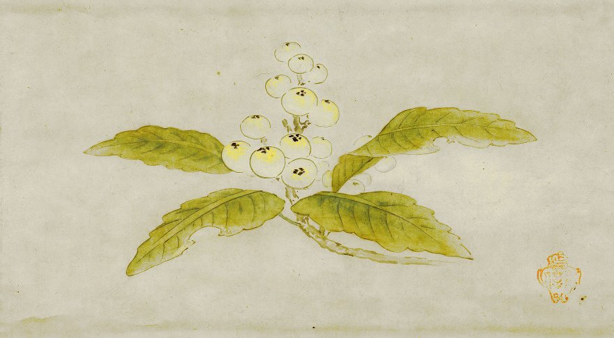 photo12.jpg