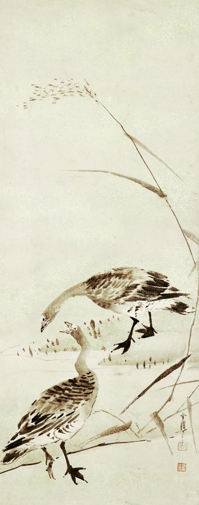 photo10.jpg