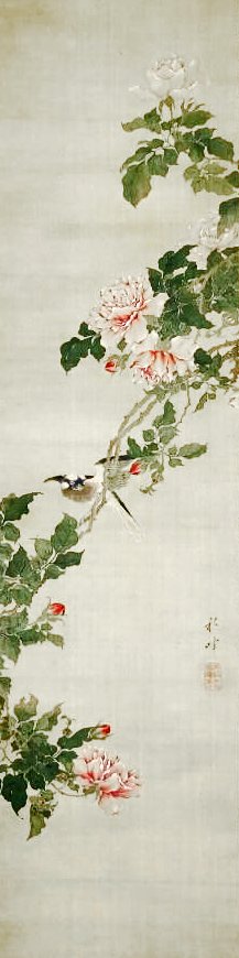 photo31.jpg