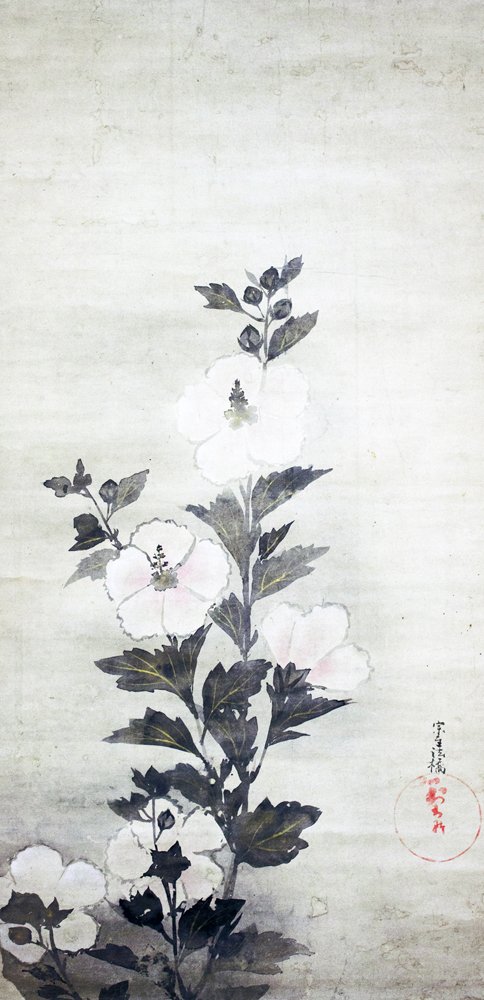 photo3.jpg