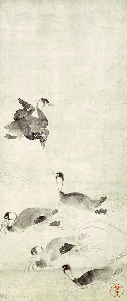 photo5.jpg