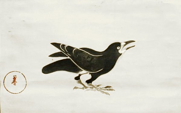 photo8.jpg