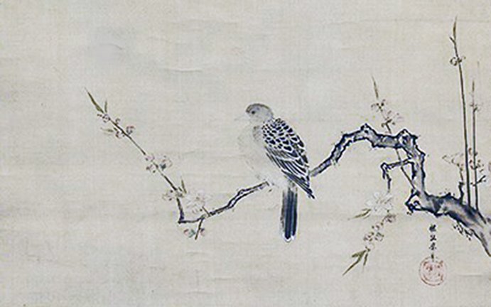 photo31.jpg
