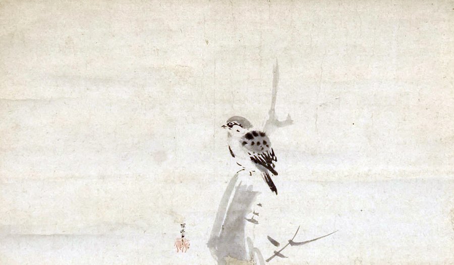 photo6.jpg