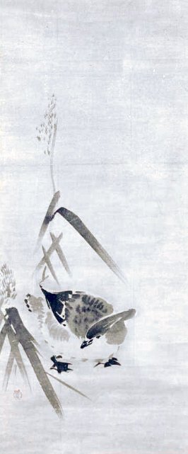 photo34.jpg