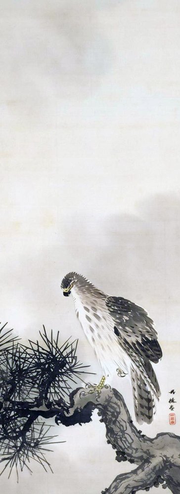 photo6.jpg