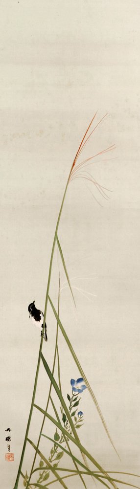 photo8.jpg