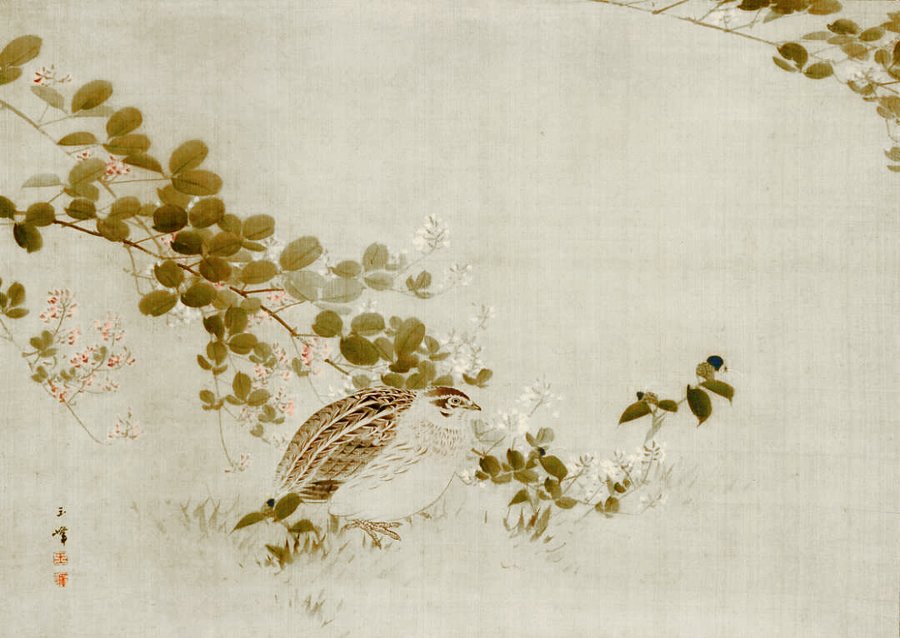 photo6.jpg